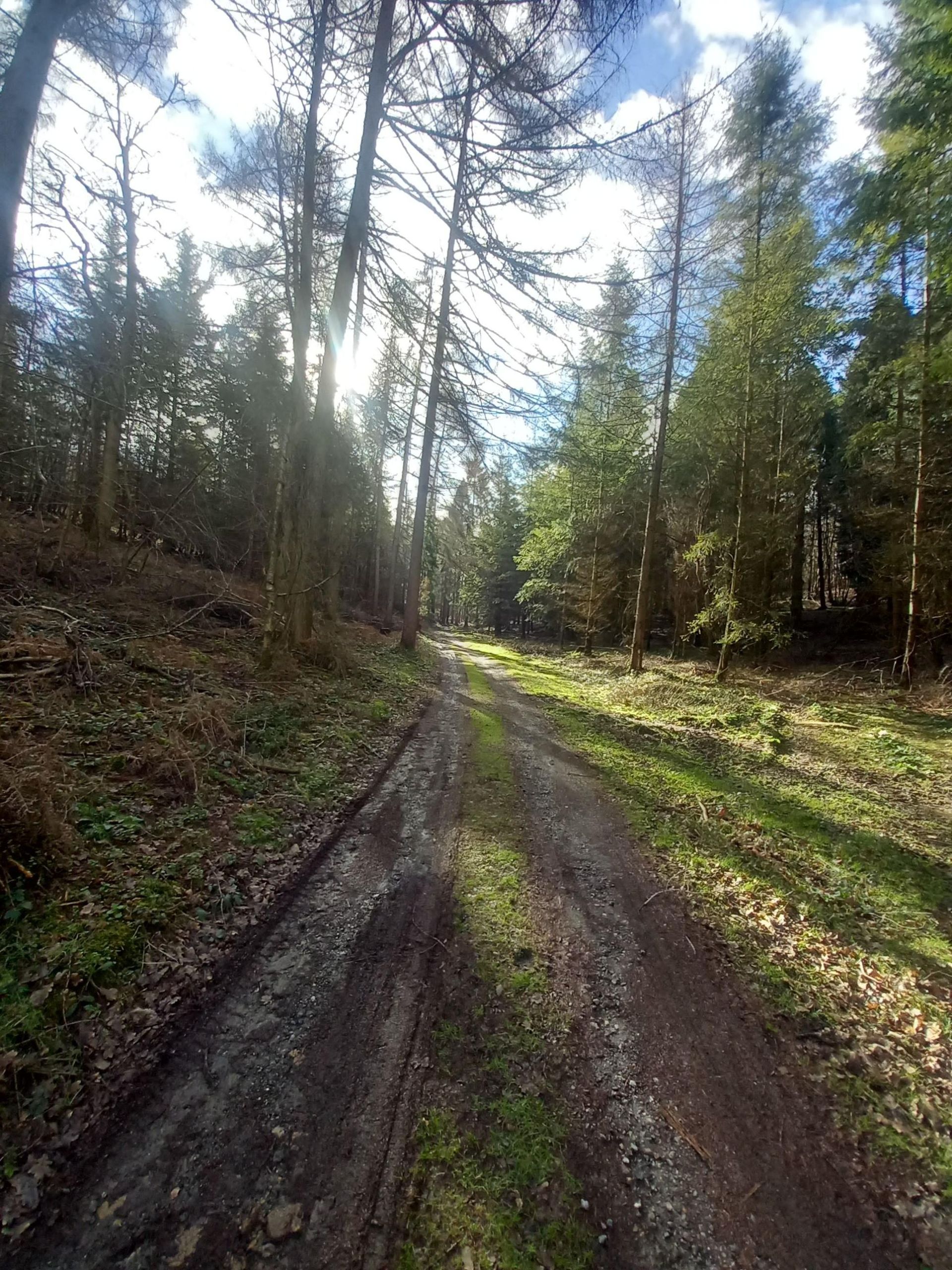 Clear skies across the Weald